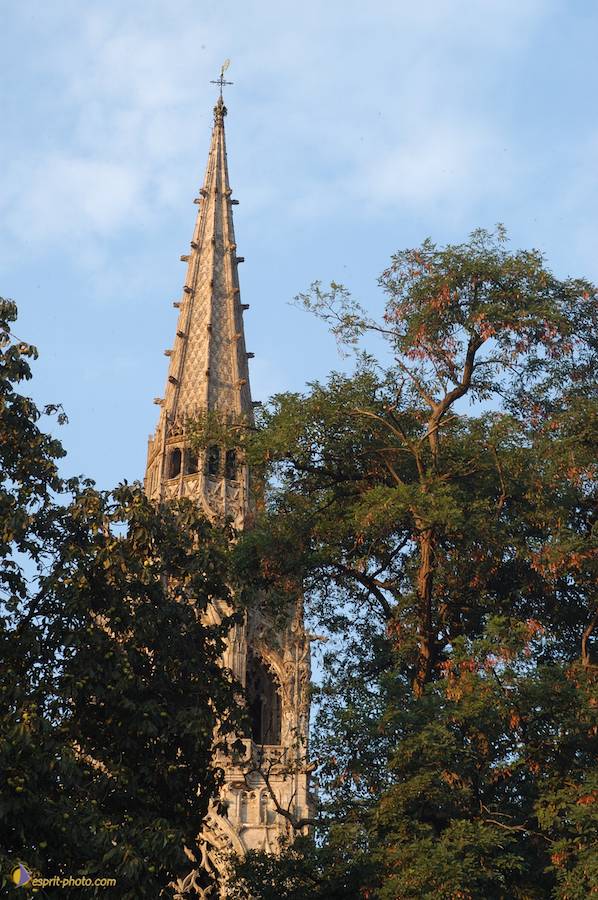 Nom de l'image : D1066672-nef_(c)Norbert-JUNG — Description :